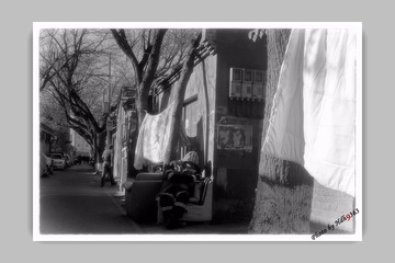 IMGP0058-编辑