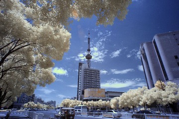 _MG_8963-.jpg