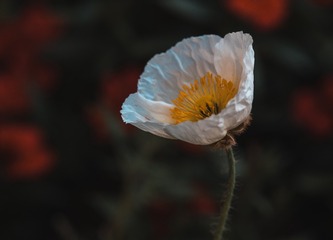 4742E3CB-28ED-42DA-A6A1-2201E9B46DBE/L0/001