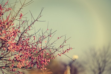 0C21CB68-78D7-40A3-8AFE-80FF74FE8BEF/L0/001