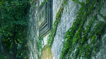 P1013415