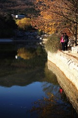 IMG_7344.jpg