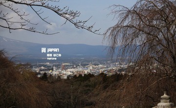 IMG_6018.jpg