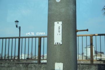 IMG_5442.jpg