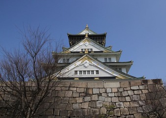 IMG_5511.jpg