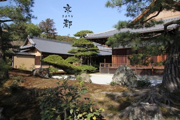 IMG_5916.jpg