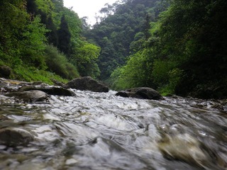 IMGP0919.JPG