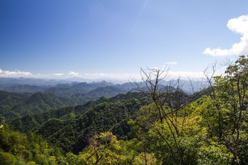 未命名-104