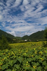 未命名-166