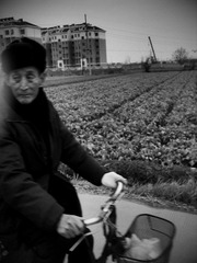 C360_2012-01-1715-55-16.jpg