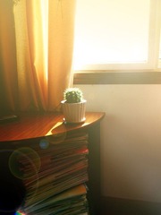 SAM_0098.jpg