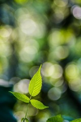 _DSC6041s_tn