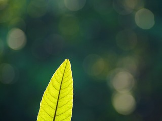 _DSC6201_tn