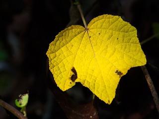 _DSC5658s_tn