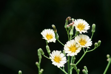 _DSC5794s_tn