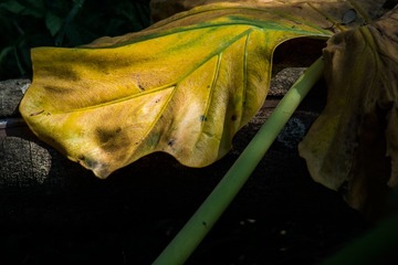 _DSC5702s_tn