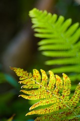 _DSC6087 拷贝_tn