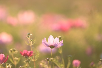 0R0A9760_