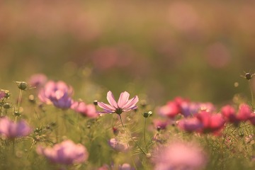 0R0A9762_