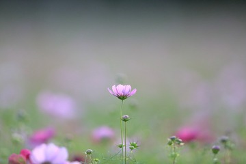 0R0A9775_