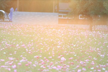 0R0A9782_