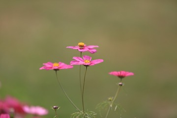 0R0A0954_