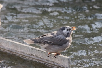 BH9A2693_