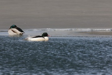BH9A2754_