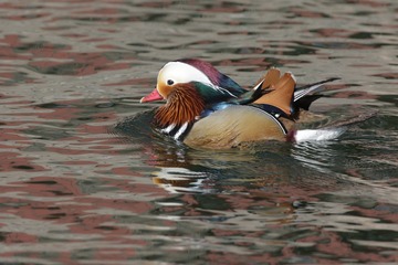 BH9A2876_