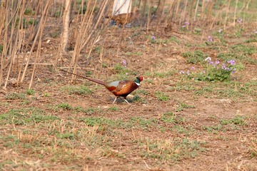 CP4W7713_