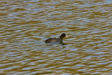 BH9A7563_
