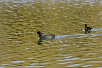 BH9A7587_