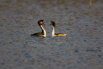 BH9A7982_