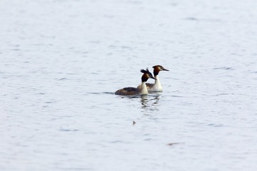 BH9A8593_