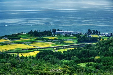DSC_0103 降噪 裁切