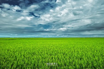 P1030034