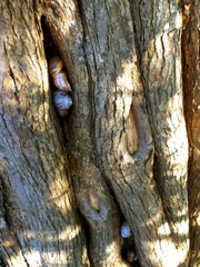 20121213_IMG_0016