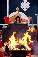 06.jpg