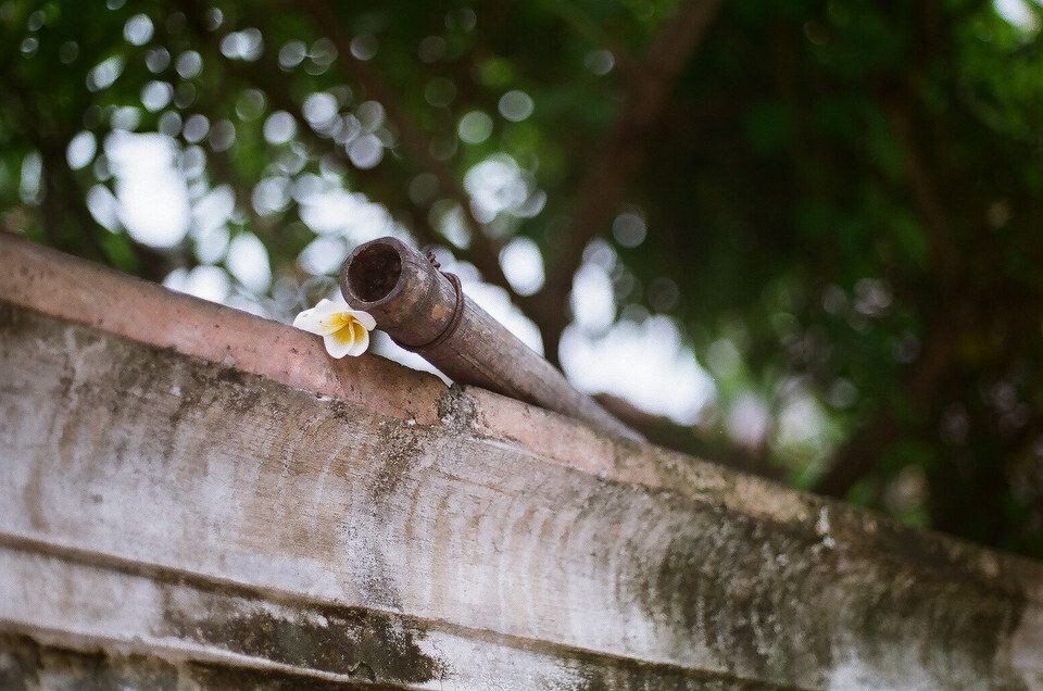 67040010<br />
135mm/f2.5