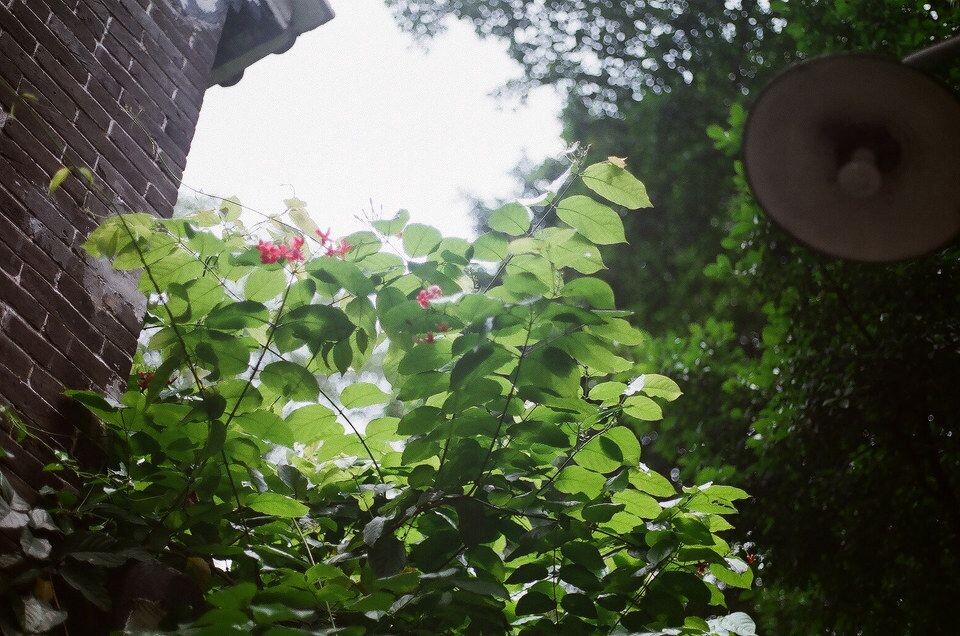 67040017<br />
50mm /1.8