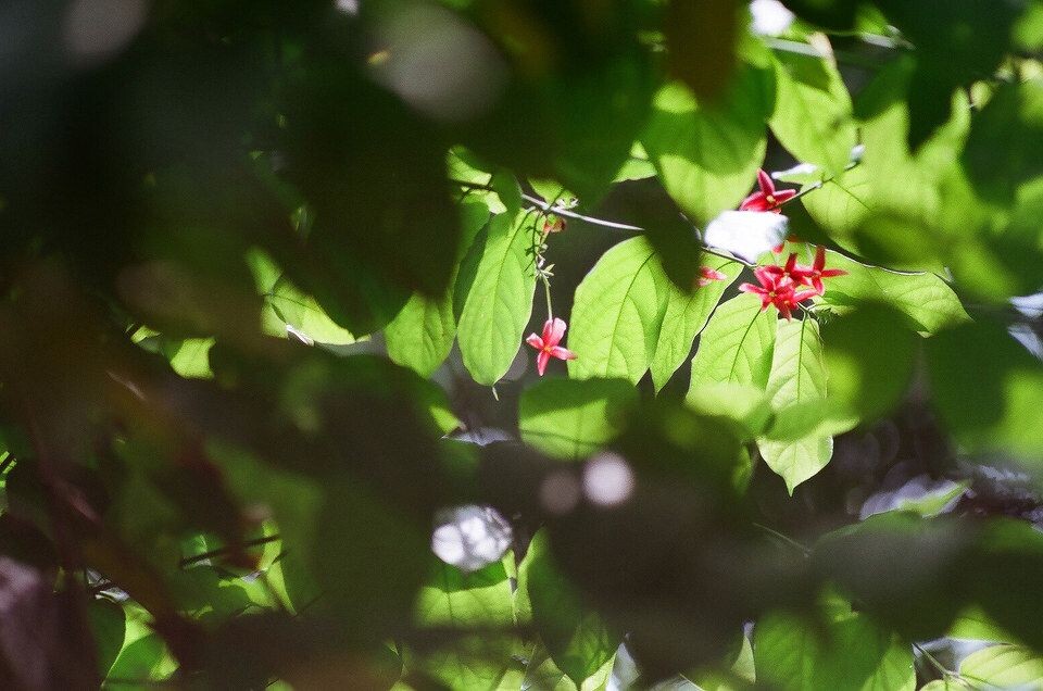 67040019<br />
135mm/f2.5