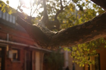 DSC07139.JPG
