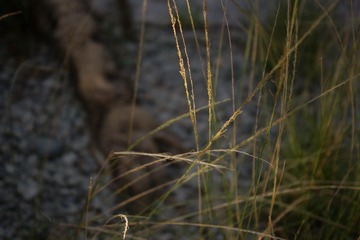 DSC07152.JPG