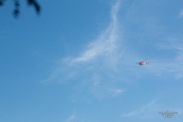 IMG_8447