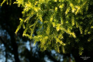 IMG_8457