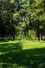 IMG_8388