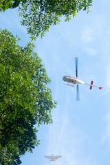 IMG_8415
