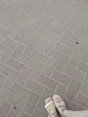 2900187