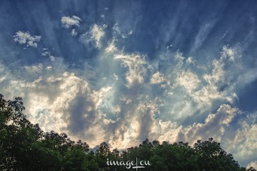 LOU_0256-编辑.jpg