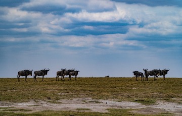 _DSC1228